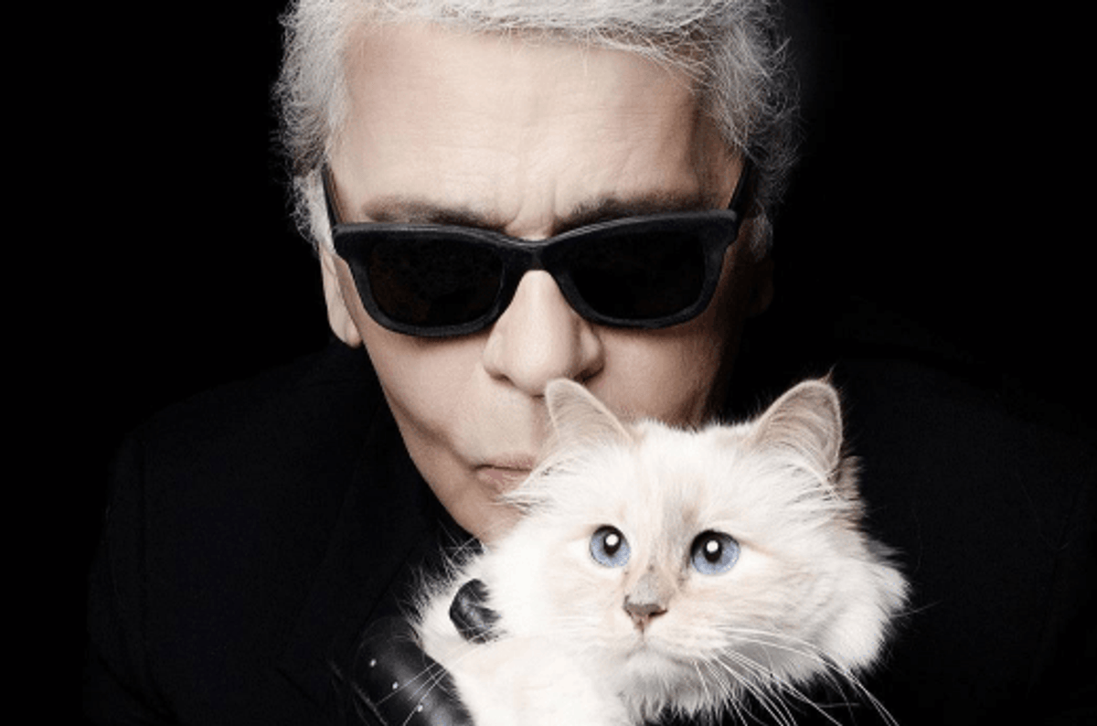 karl lagerfeld modelco