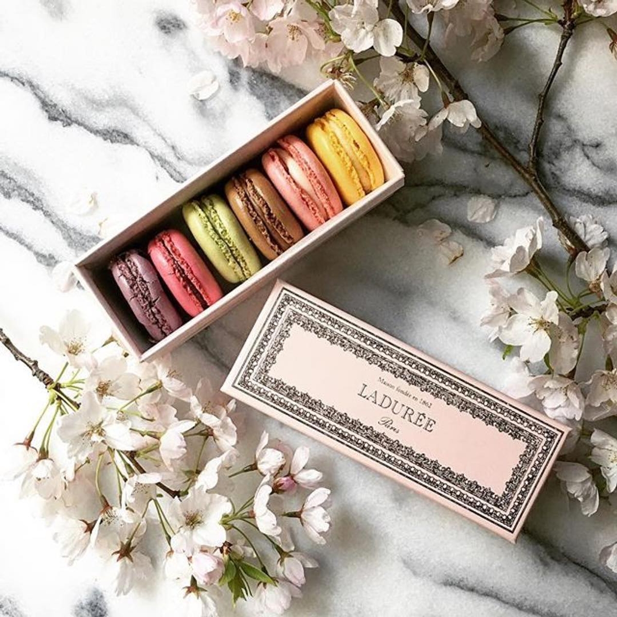 Ladurée is Coming to Toronto