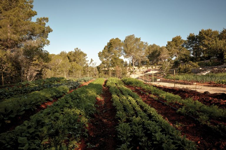 La Granja is a Much Needed Escape from Ibiza’s Club Scene