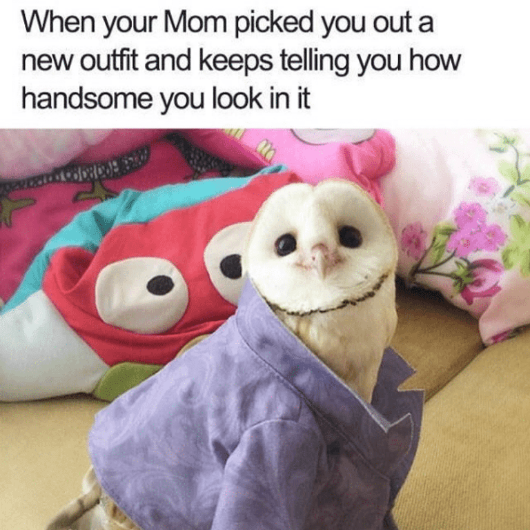 Motivational Monday Memes