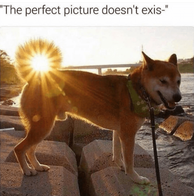 Motivational Monday Memes