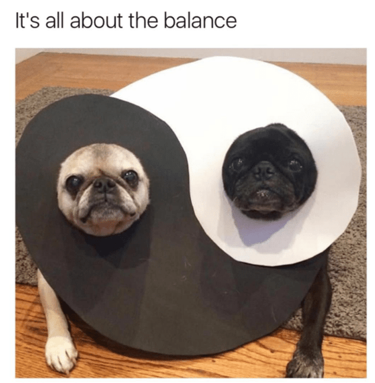 Motivational Monday Memes
