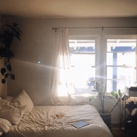 The Long-Standing Allure of Beauty Sleep During Volatile Times