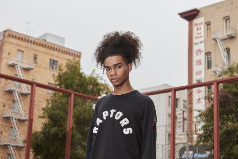 raptors levis
