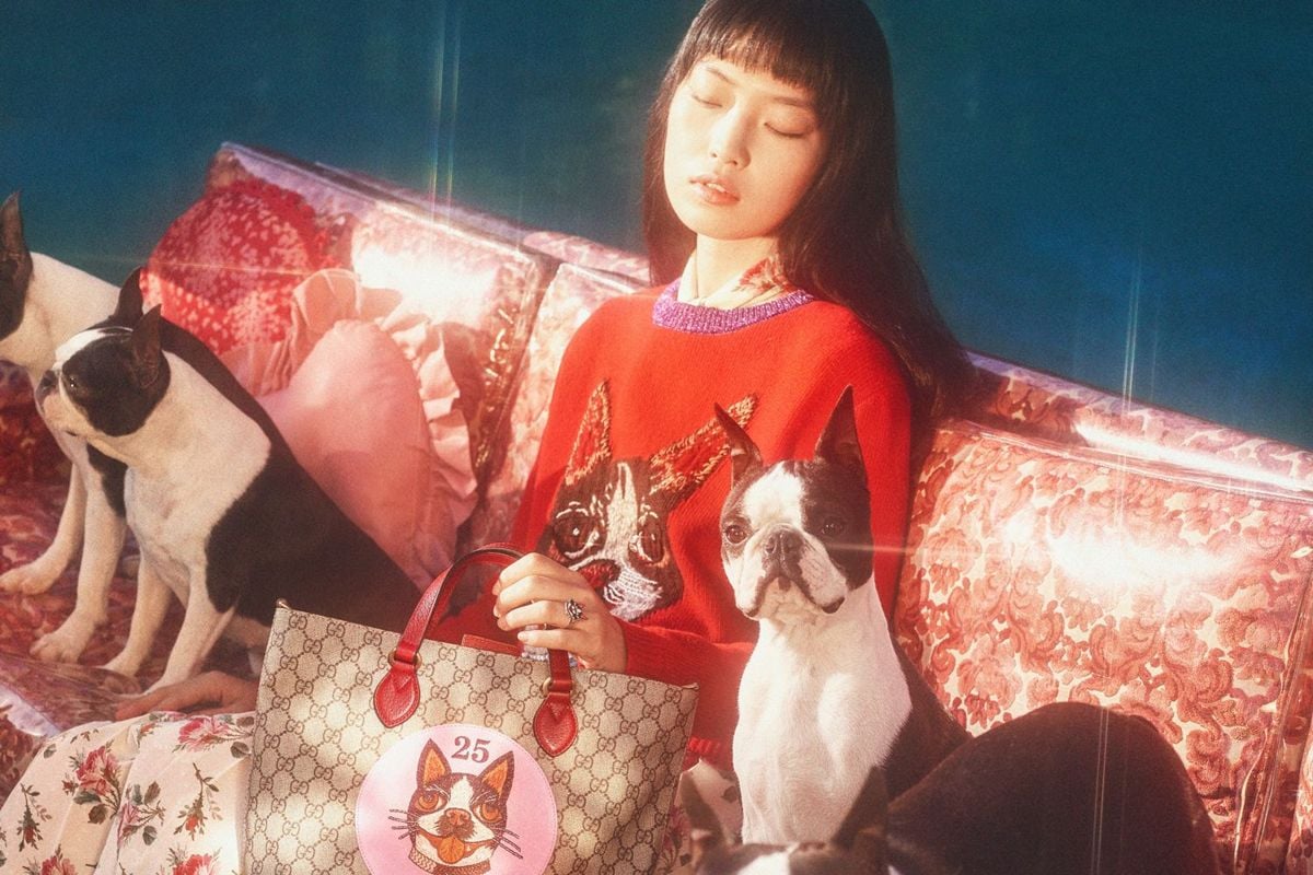 Chinese New Year Gift Guide: For the Dog Lover in You