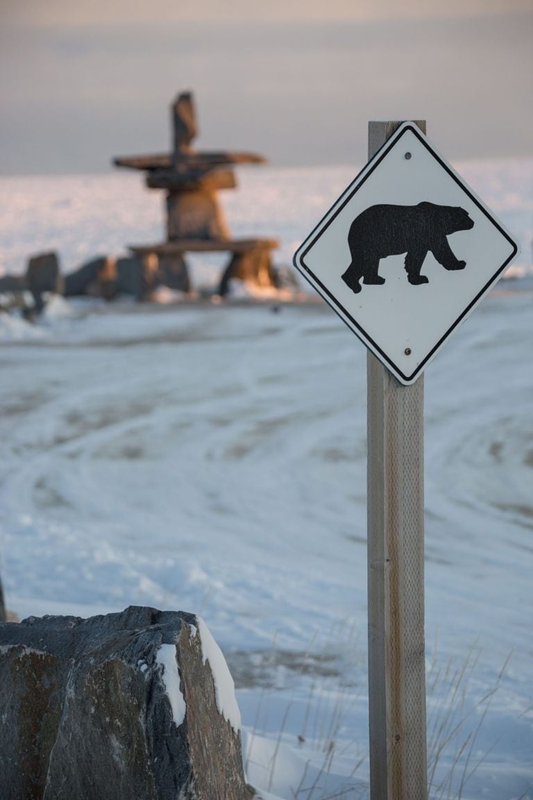 I Travelled to Churchill, Manitoba to Hang Out With Polar Bears
