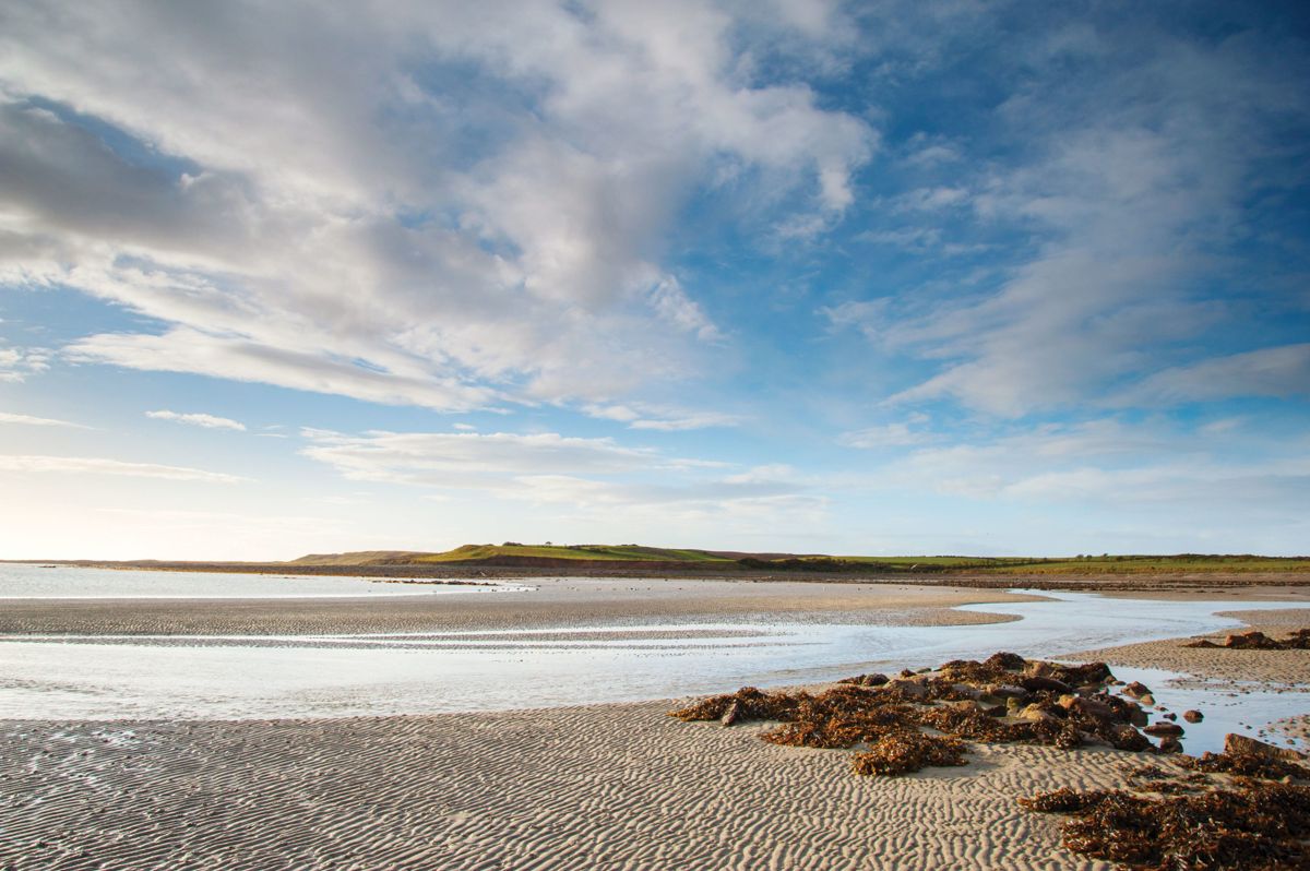 Northern Ireland Food Tourism