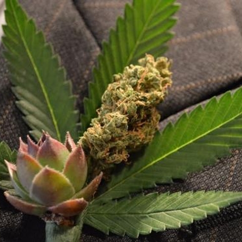 The Royal Wedding Will Have Its Own Unofficial Weed Strain