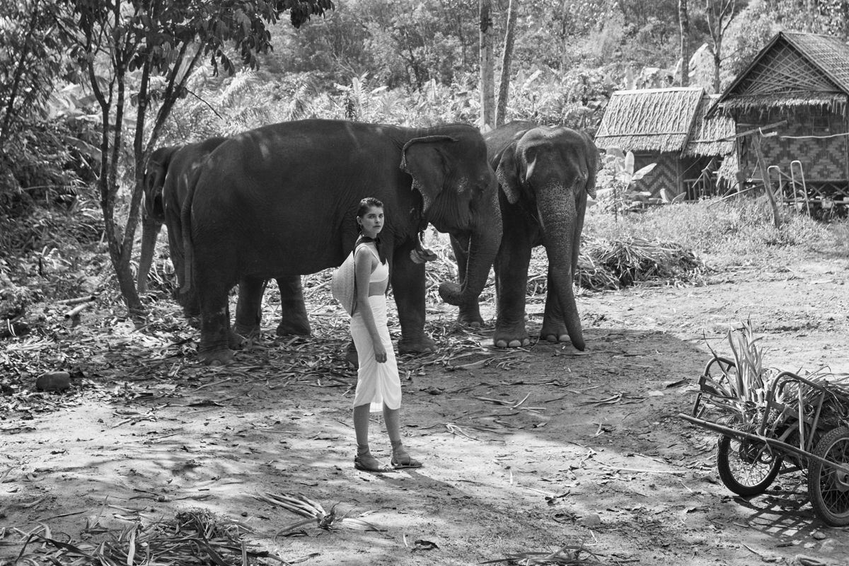 Elephant Tourism in Thailand