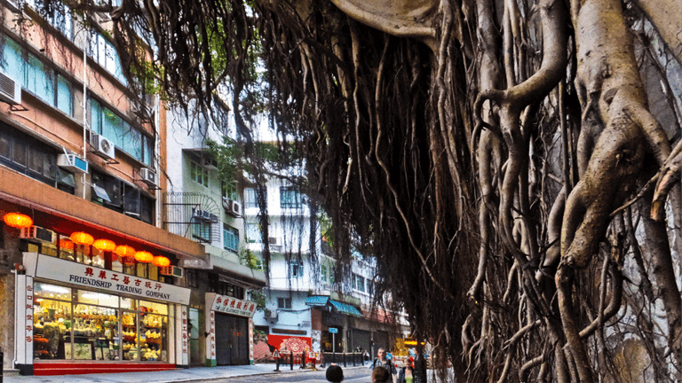 6 Fascinating Places in Hong Kong Tourists Usually Miss