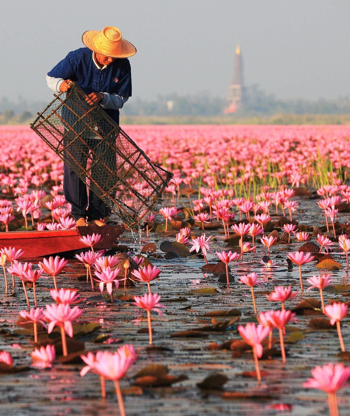 Thailand’s Floral Love Has Deep Roots