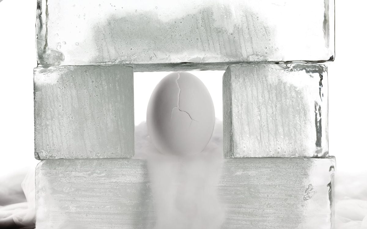 when to freeze eggs
