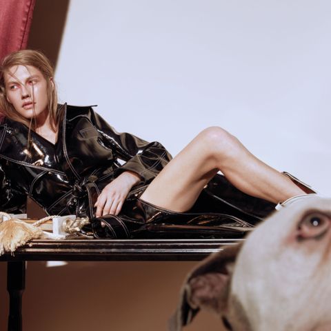 Model Harlow Monroe on Her Identity as a Trans Woman and Fall 2018's Top Looks