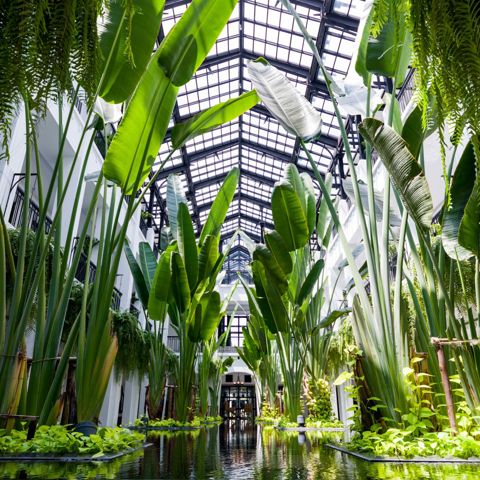 Amazing Bangkok