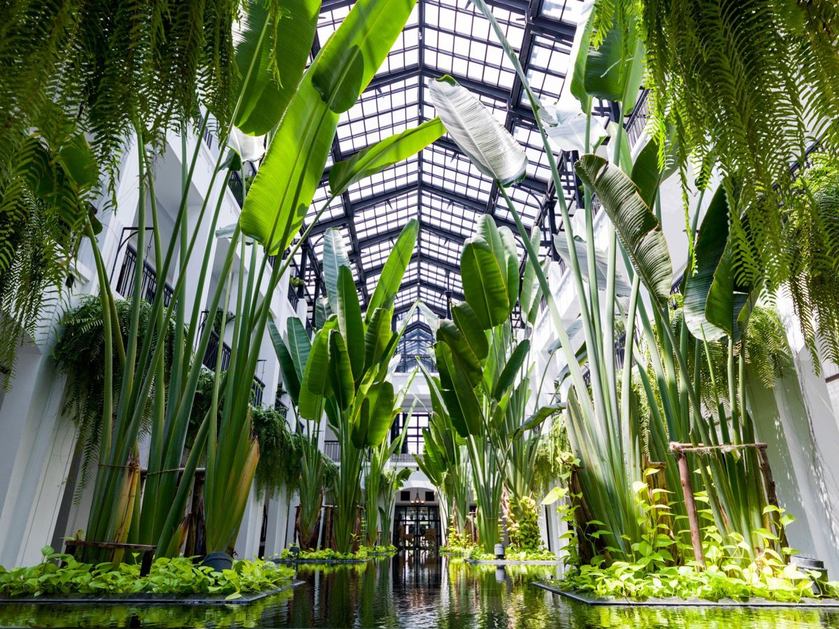 Amazing Bangkok