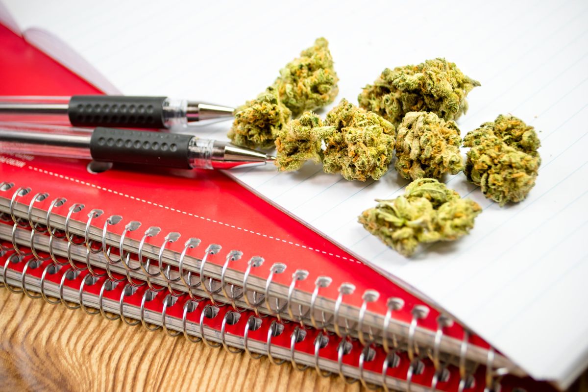 Ontario Students Can Now Go To College and Learn to Grow Weed