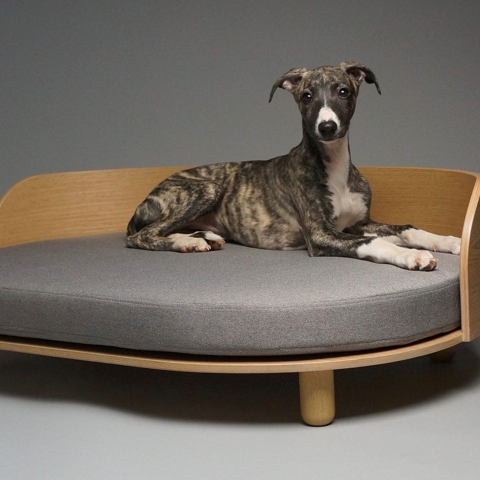 5 Design Objects That Will Elevate Your Life in 2019