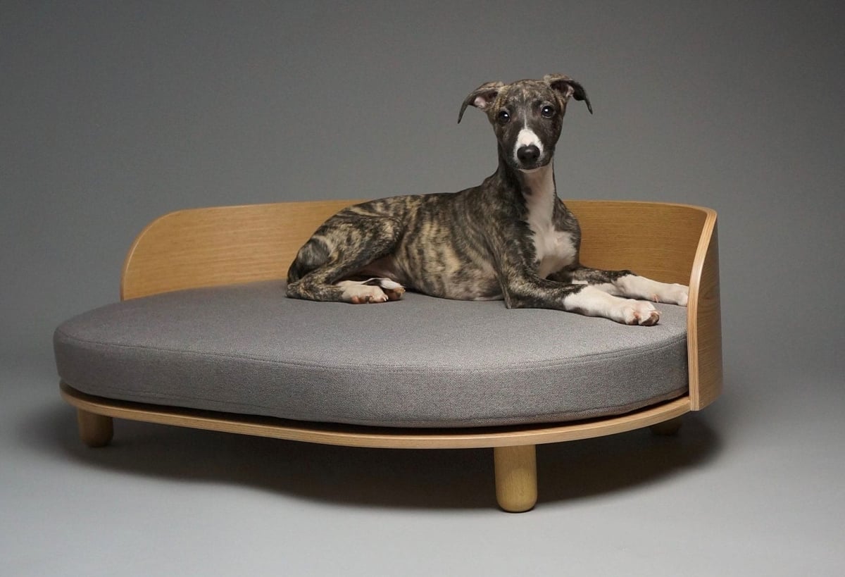 5 Design Objects That Will Elevate Your Life in 2019