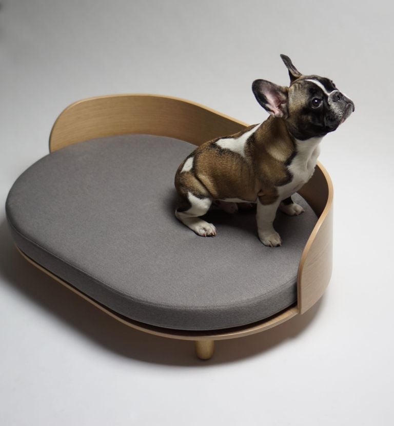5 Design Objects That Will Elevate Your Life in 2019