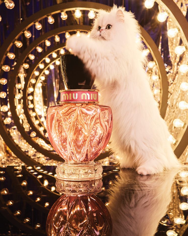 Elle Fanning and a Kitten Star in the Fragrance Campaign for Miu Miu Twist
