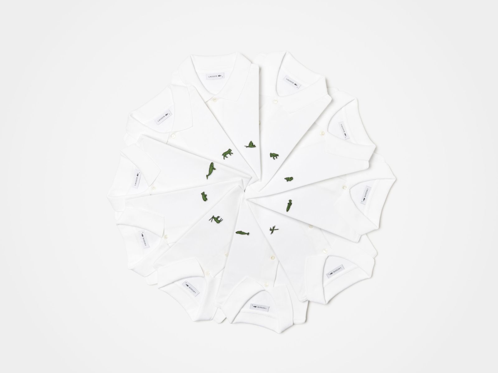 LACOSTE SAVE OURSPECIES ハワイアンモンクアザラシ刺繍ポロ ラコステより胸元のワニロゴを世界各地に生息する絶滅危惧種に置き換え