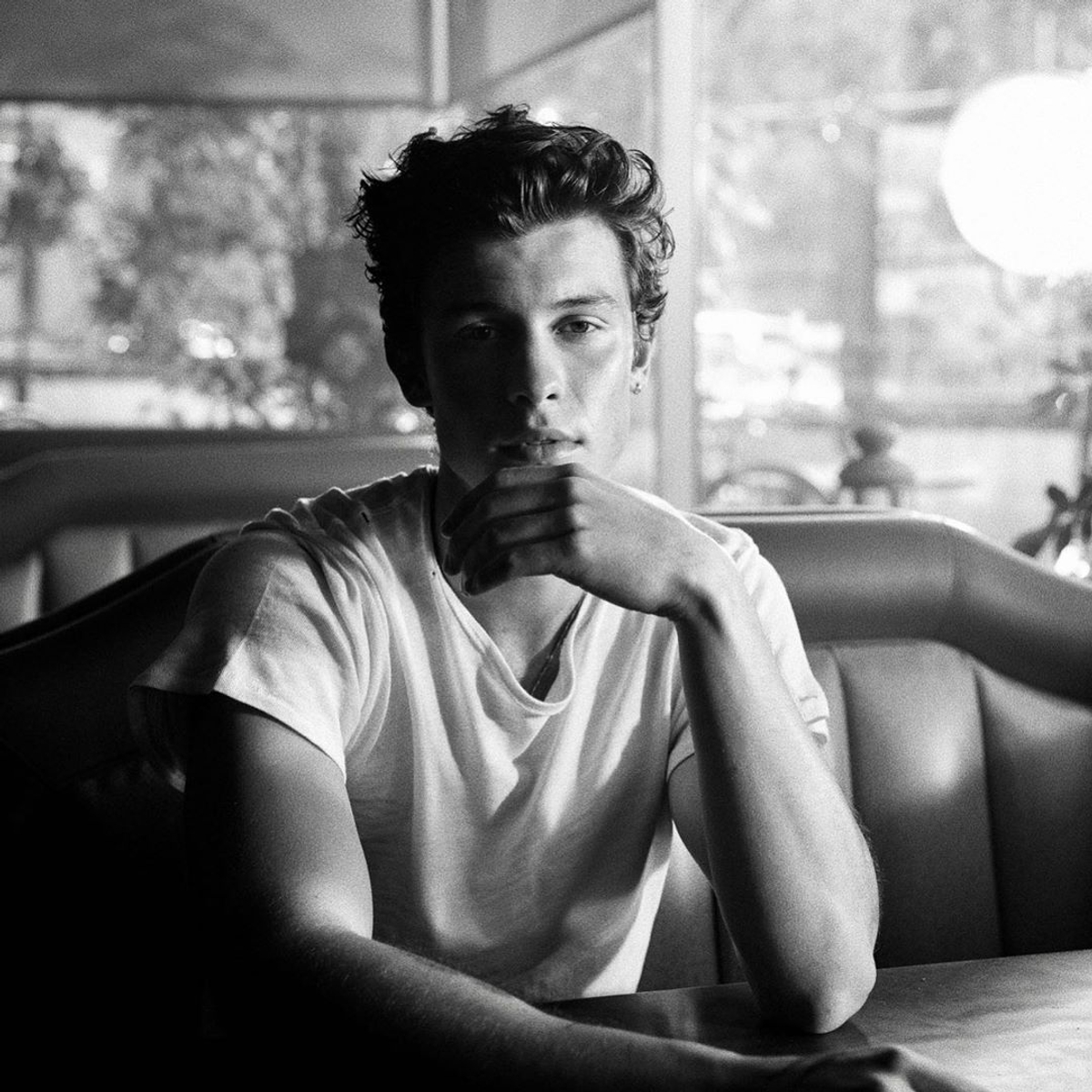 Meet Shawn Mendes, Sustainability Influencer