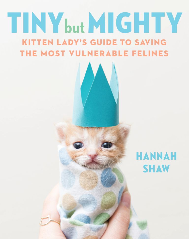 A Day in the Life: Professional Kitten Rescuer Hannah Shaw Makes Animal Advocacy Look Glam