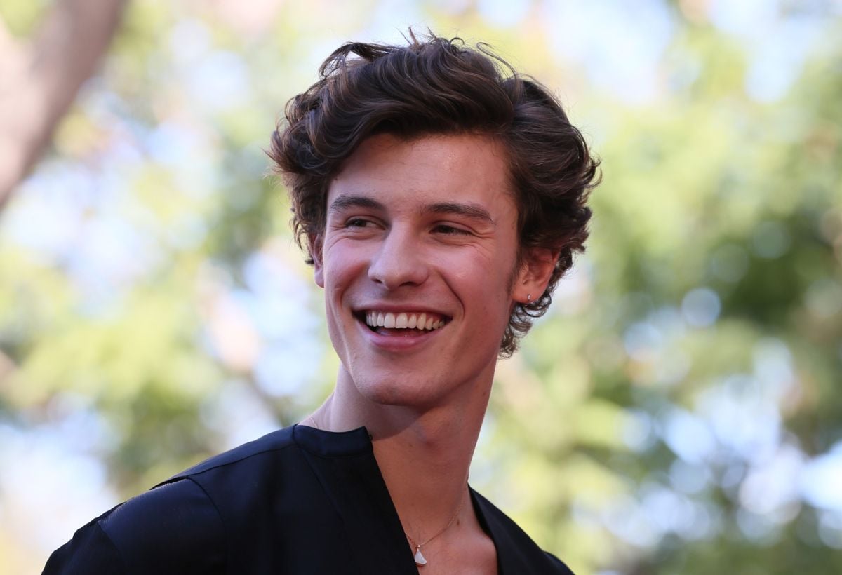 shawn mendes documentary