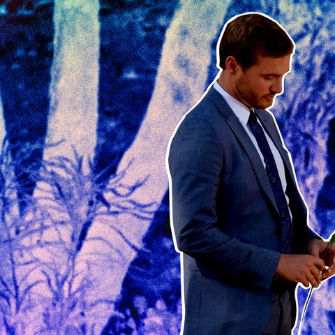 The Bachelor Franchise Is No Longer about Real People Finding Love