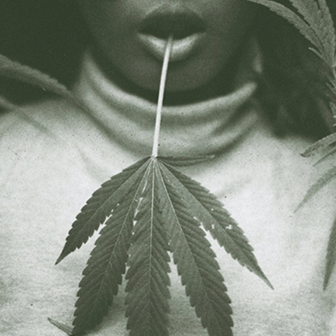 You Know Who *Won't* Benefit From Cannabis Legalization? Women of Colour