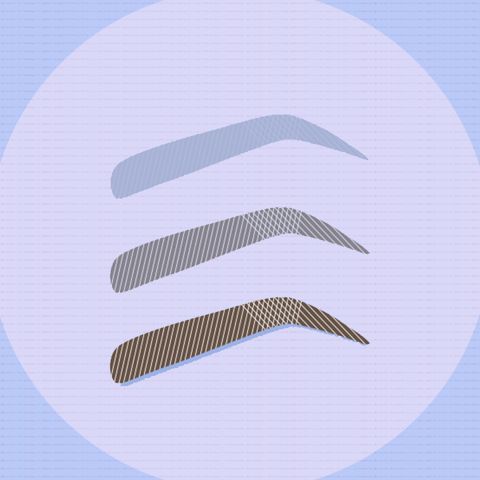 No One Tells You *This* Will Happen When Your Microblading Fades
