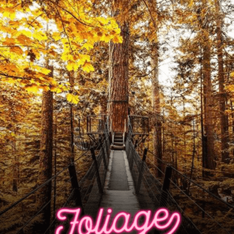 Where To Find The Best Fall Foliage in Vancouver