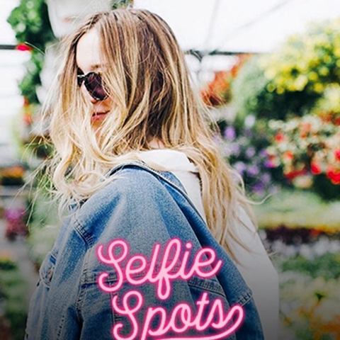 The Best Selfie Spots in Montreal