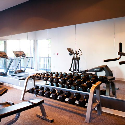 Here's What to Expect When Your Gym Reopens