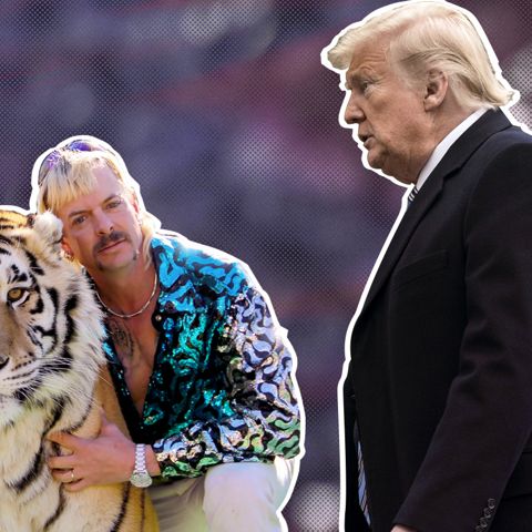 Is Trump Actually Going to Pardon Joe Exotic?