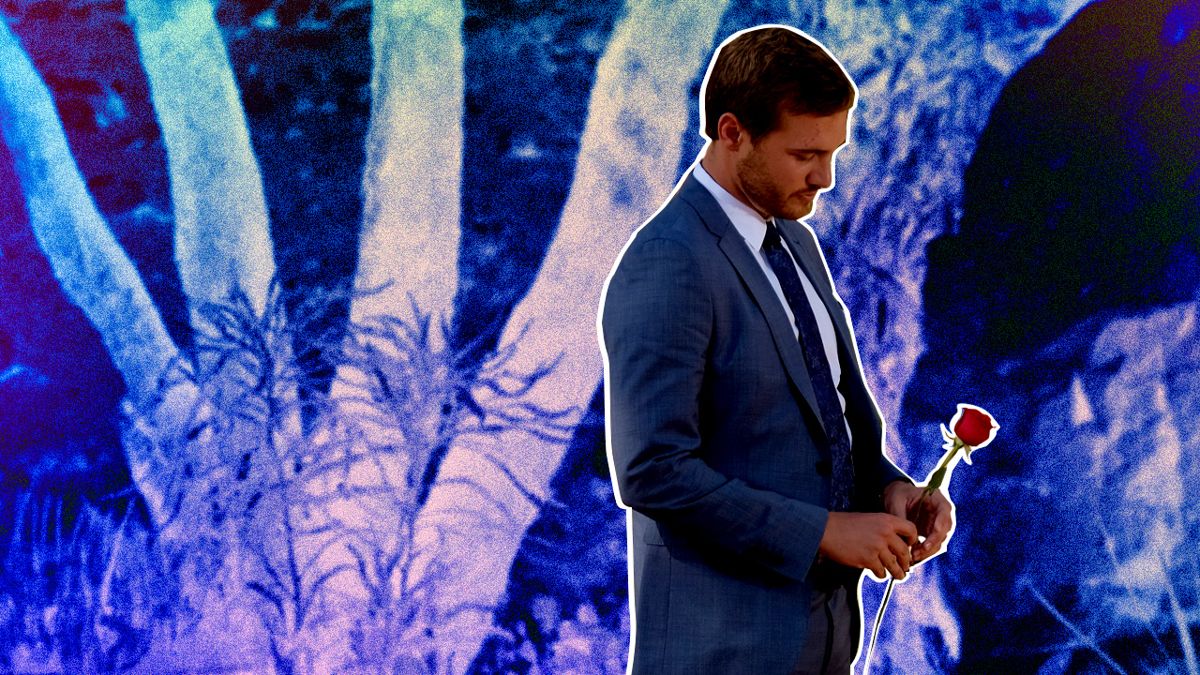 The Bachelor Franchise Is No Longer about Real People Finding Love