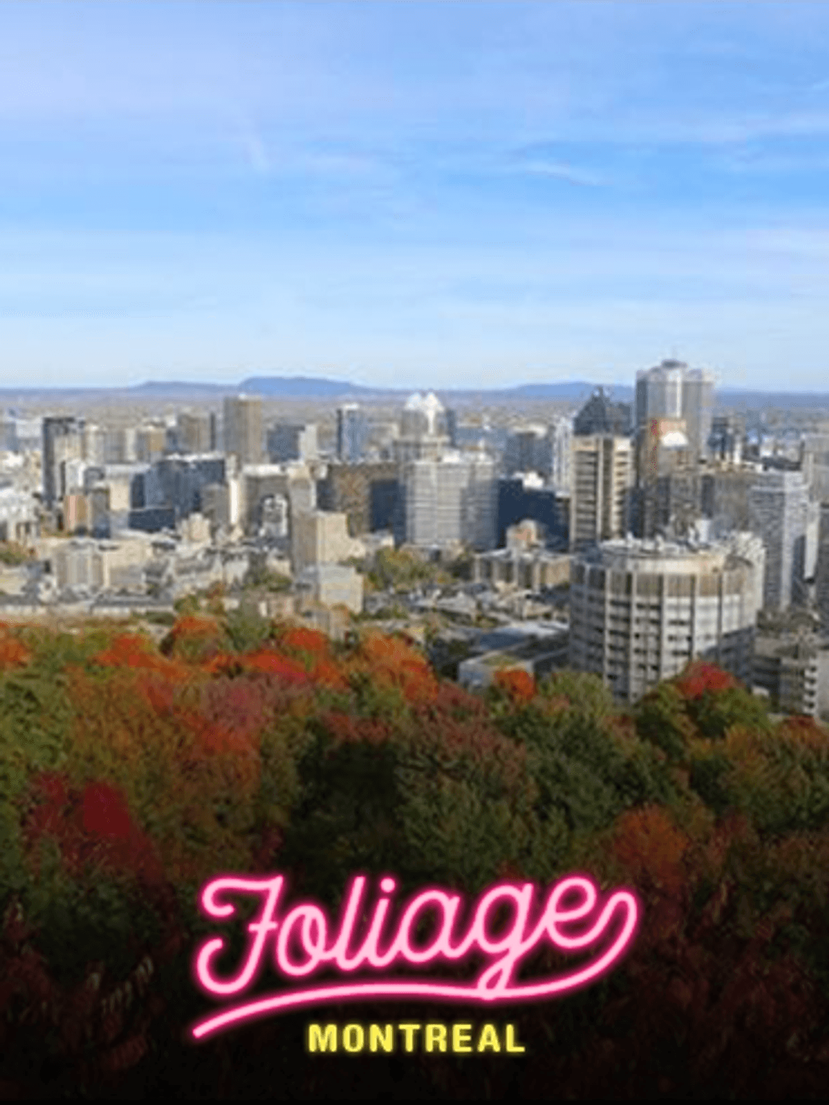 Where To Find The Best Fall Foliage in Montreal