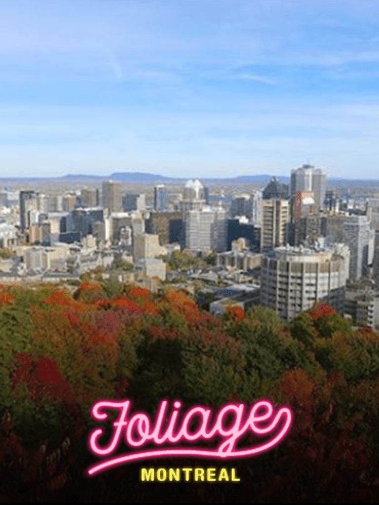 Where To Find The Best Fall Foliage in Montreal