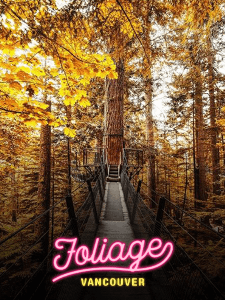 Where To Find The Best Fall Foliage in Vancouver