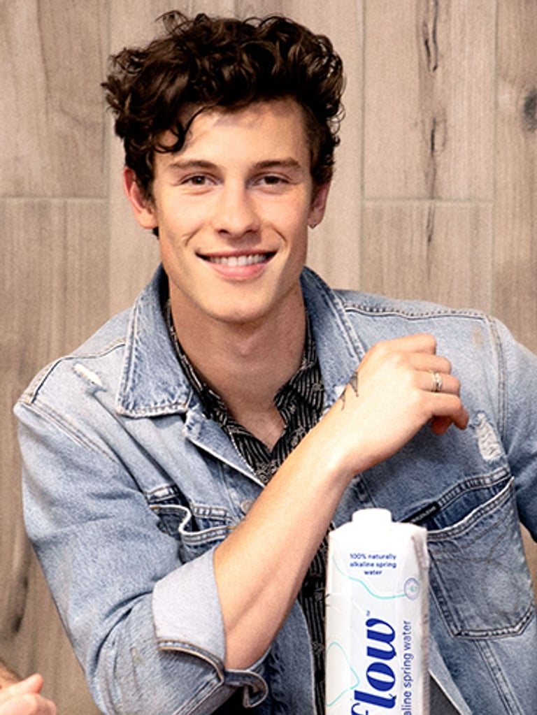 Shawn Mendes's New Role as a “Sustainability Ambassador” Is Kinda BS
