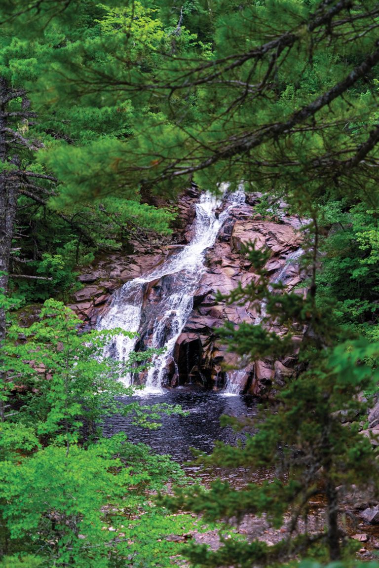 What to Do, See and Eat on Nova Scotia's Cabot Trail
