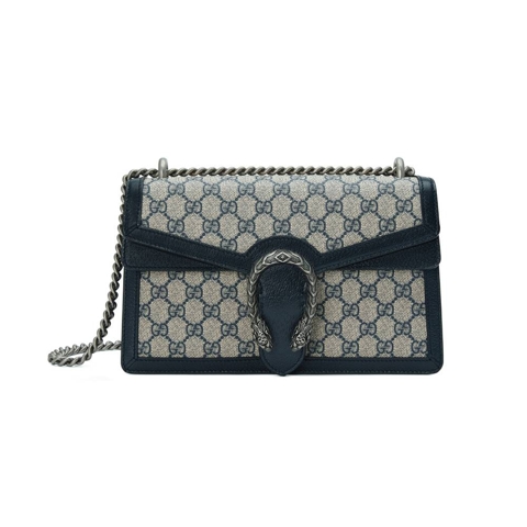 Gucci GG Canvas in Blue