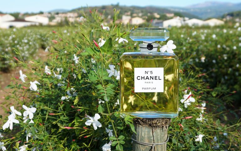 how and where chanel no. 5 is made