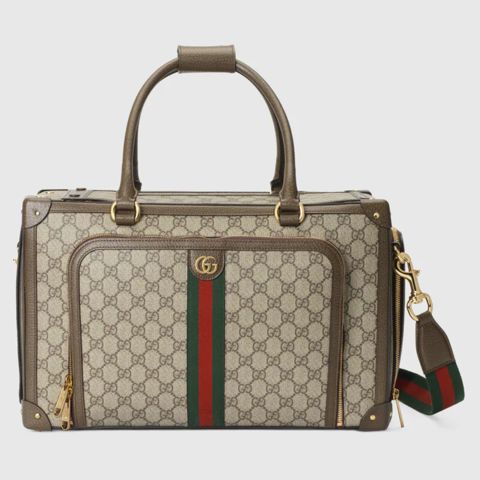 Gucci Pet Collection