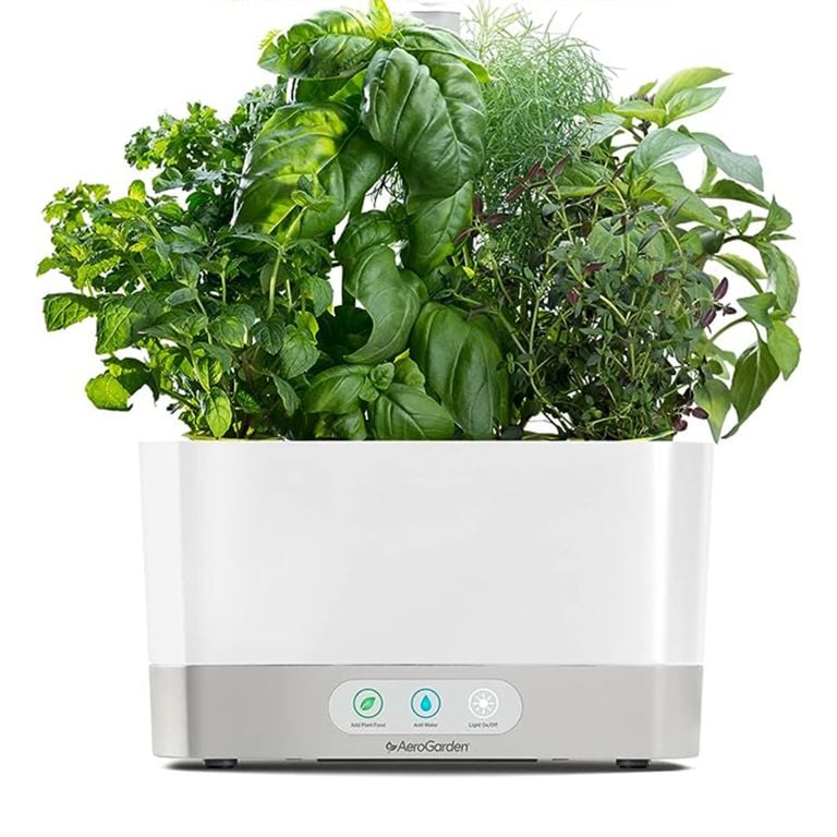 10 Stylish Home Accessories We're Shopping This Prime Day