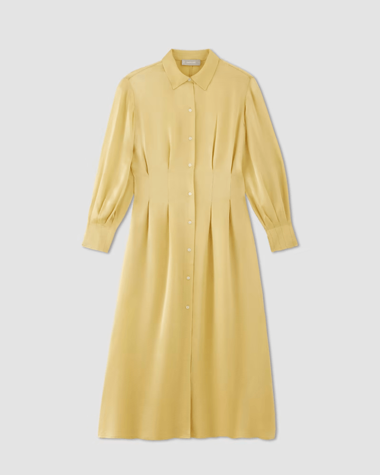 everlane shirt dress