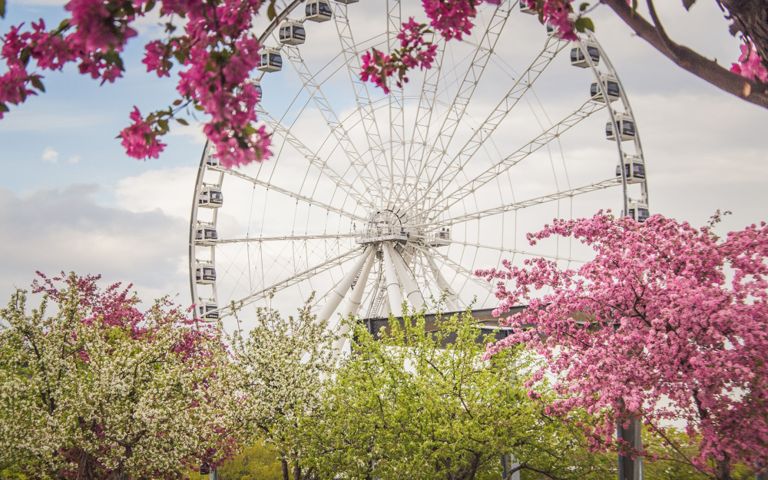 Where to Sleep, Eat and Chill in Montreal