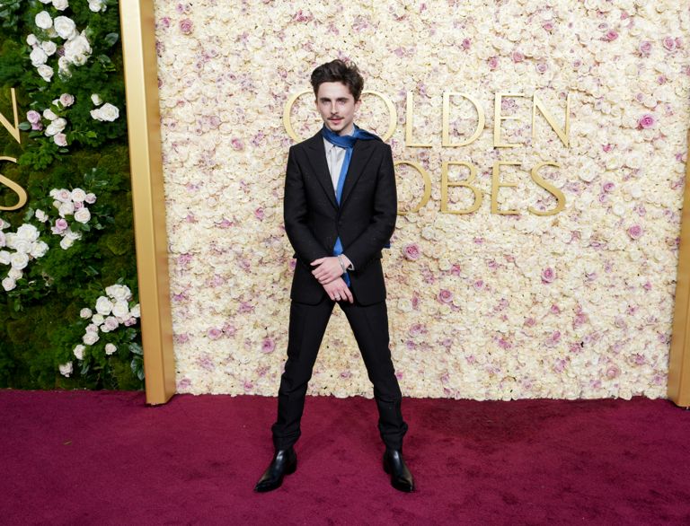 timothée chalamet scarves a complete unknown