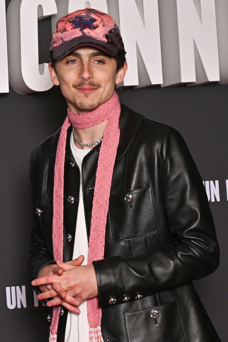 timothée chalamet scarves a complete unknown