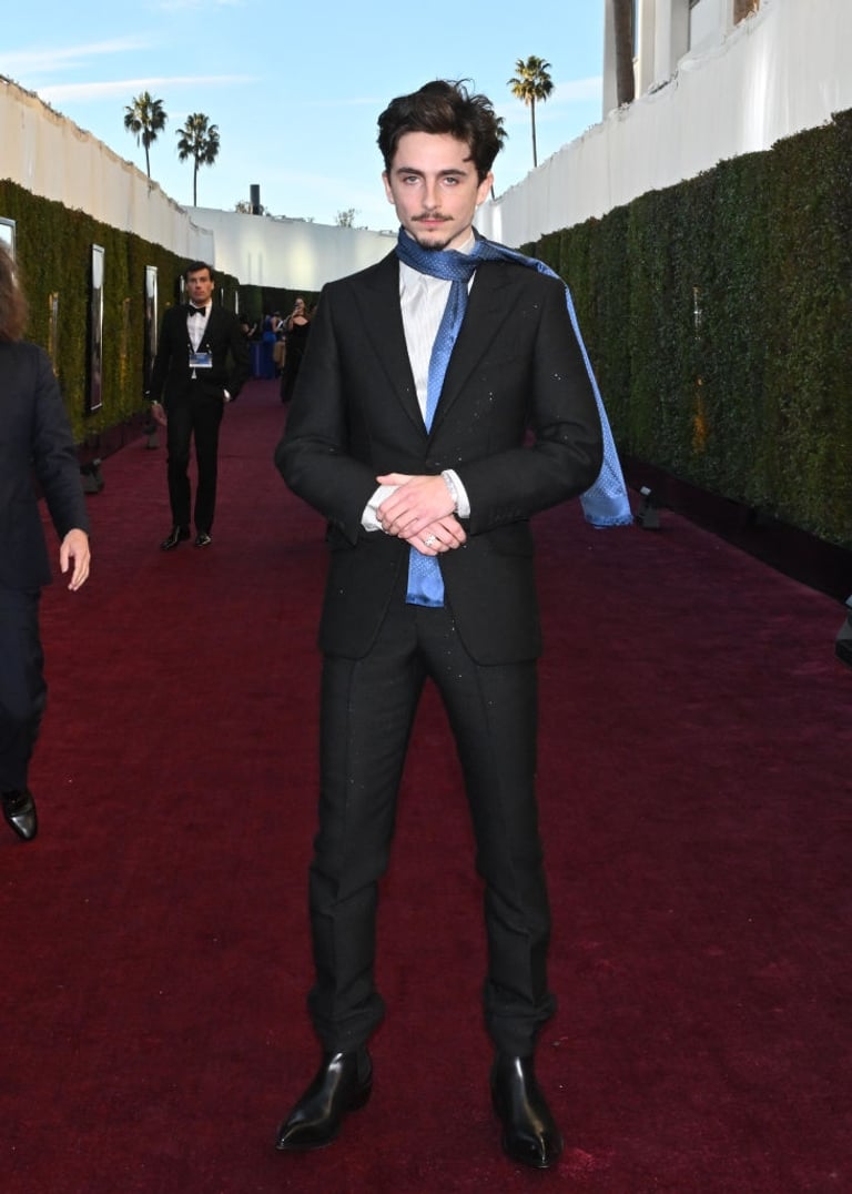 timothée chalamet scarves a complete unknown